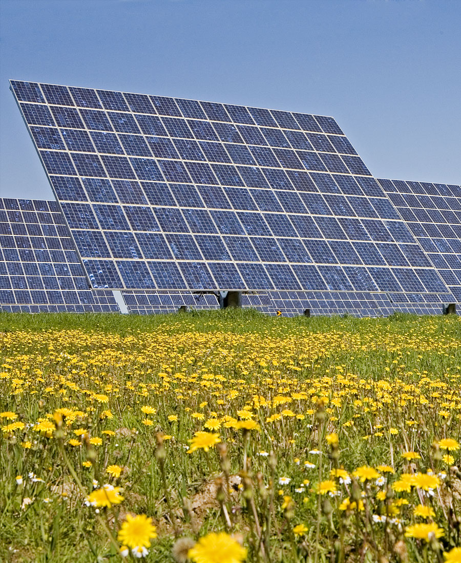 Photovoltaic Solar Energy | ACCIONA | Business as unusual